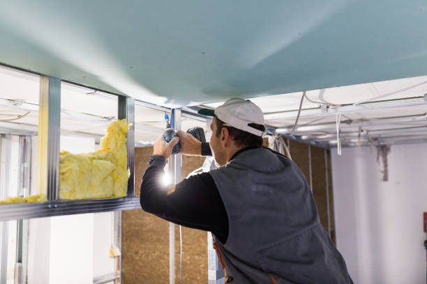 Best Geographic-Specific Insulation Services in Hartwell, GA