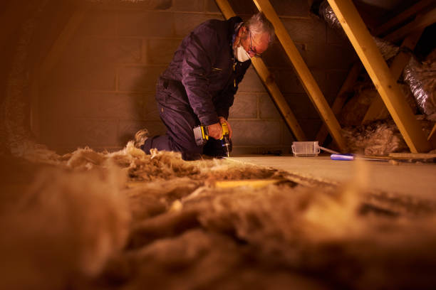 Best DIY Insulation Kits and Guidance in Hartwell, GA