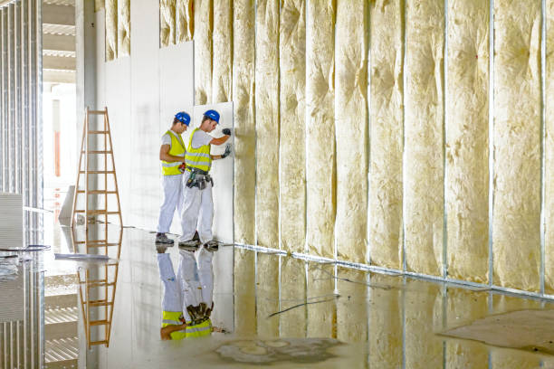 Best Commercial Insulation in Hartwell, GA